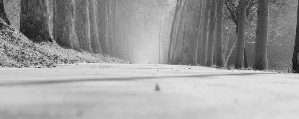 Cover image of post: Analog User Guide - Get Started