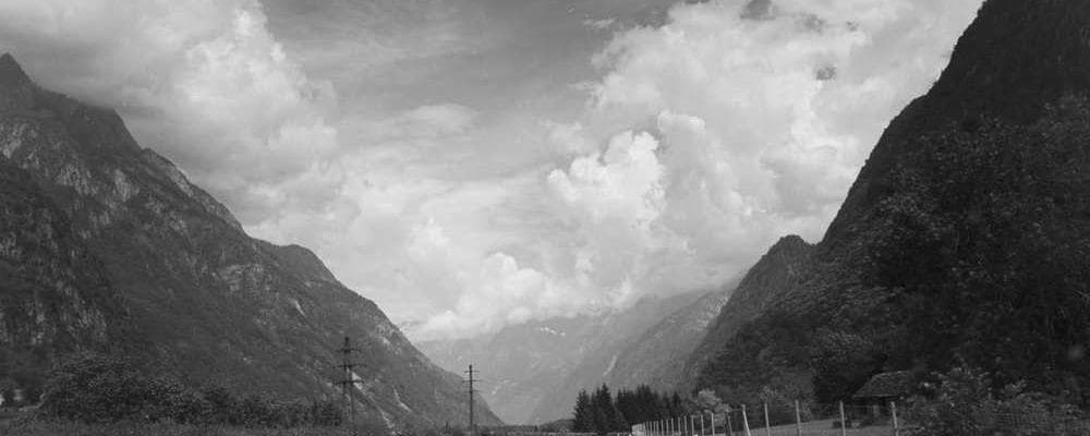 Cover image of post: Analog User Guide - Tech Stack