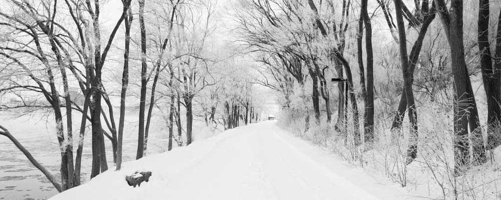 Cover image of post: In-subfolder Routing Test